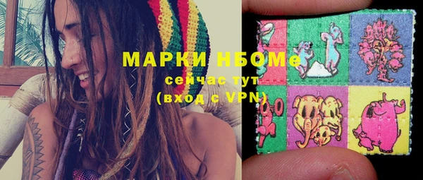 шишки Горнозаводск