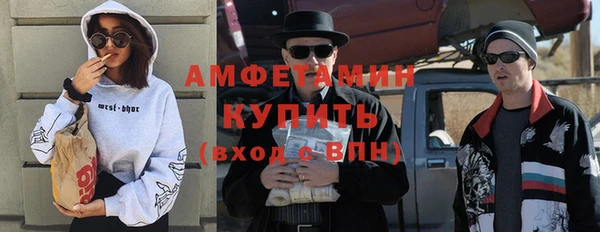 шишки Горнозаводск