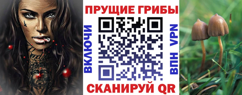 Псилоцибиновые грибы прущие грибы  закладка  Камышин 